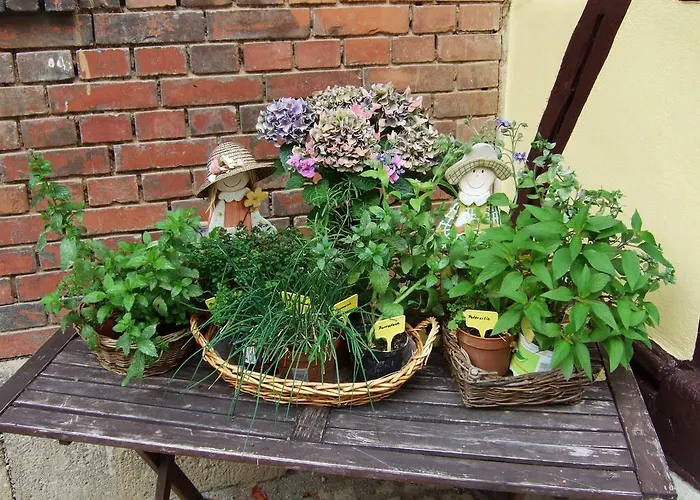 Daire Hainich-ferienhof